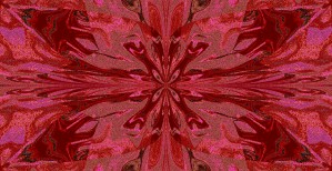 Abstract Butterfly 12